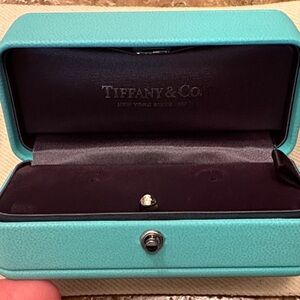 Tiffany & Co. Turquoise Jewelry Case
